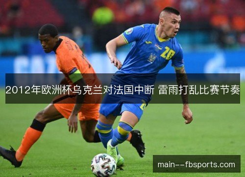 2012年欧洲杯乌克兰对法国中断 雷雨打乱比赛节奏 2012年欧洲杯乌克兰对法国中断 雷雨打乱比赛节奏